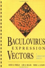 Baculovirus Expression Vectors