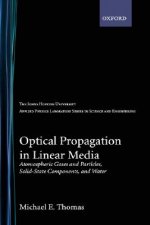 Optical Propagation in Linear Media