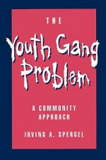 Youth Gang Problem