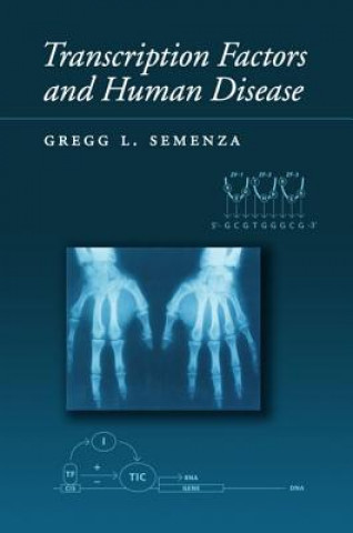 Transcription Factors and Human Disease