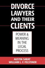 Divorce Lawyers and Their Clients