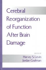 Cerebral Reorganization of Function After Brain Damage