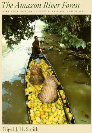 Amazon River Forest