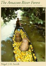 Amazon River Forest