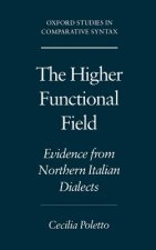 Higher Functional Field