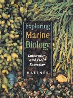 Exploring Marine Biology