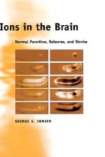 Ions in the Brain