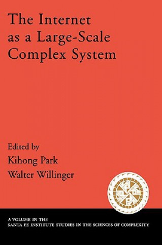 Internet As a Large-Scale Complex System
