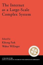 Internet As a Large-Scale Complex System