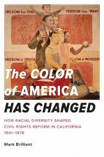 Color of America Has Changed