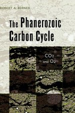 Phanerozoic Carbon Cycle