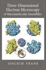 Three-Dimensional Electron Microscopy of Macromolecular Assemblies