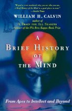 Brief History of the Mind