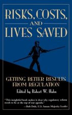 Risks, Costs, and Lives Saved