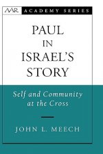 Paul in Israel's Story