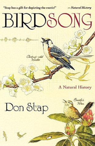 Birdsong