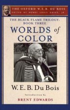 Black Flame Trilogy: Book Three, Worlds of Color