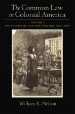 Common Law of Colonial America