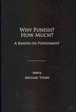 Why Punish? How Much?