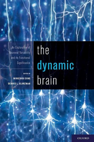Dynamic Brain
