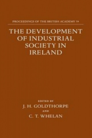 Development of Industrial Society in Ireland