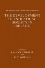 Development of Industrial Society in Ireland