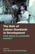 Role of Labour Standards in Development