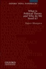 What is Political Theory and Why Do We Need It?