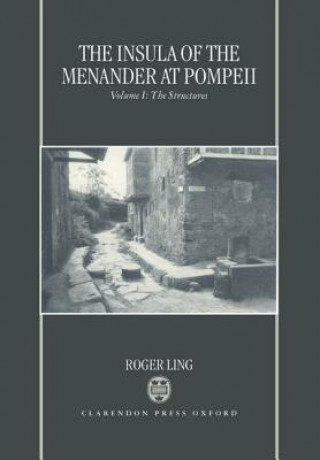 Insula of the Menander at Pompeii: Volume 1: The Structures