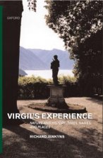 Virgil's Experience