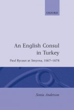 English Consul in Turkey