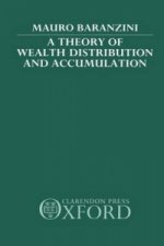 Theory of Wealth Distribution and Accumulation