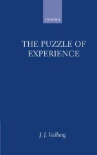 Puzzle of Experience