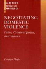 Negotiating Domestic Violence