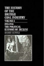History of the British Coal Industry: Volume 4: 1914-1946