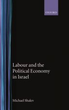 Labour and the Political Economy in Israel