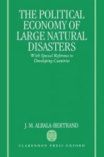 Political Economy of Large Natural Disasters