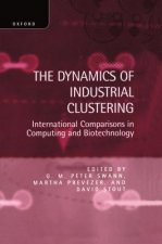 Dynamics of Industrial Clustering