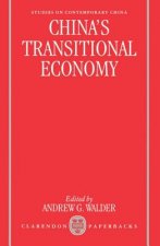 China's Transitional Economy