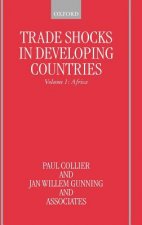 Trade Shocks in Developing Countries: Volume I: Africa
