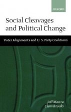 Social Cleavages and Political Change