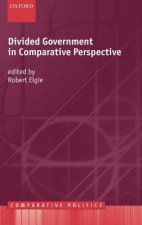 Divided Government in Comparative Perspective