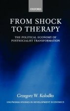 From Shock to Therapy