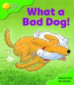 Oxford Reading Tree: Level 2: Big Book Pack (6 books, 1 of each title)