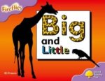 Oxford Reading Tree: Level 1+: Fireflies: Big and Little