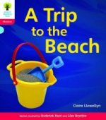 Oxford Reading Tree: Level 4: Floppy's Phonics Non-Fiction: Class Pack of 36