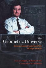 Geometric Universe