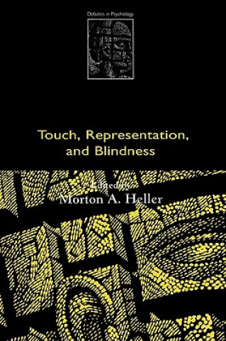 Touch, Representation, and Blindness