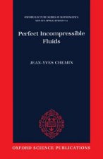 Perfect Incompressible Fluids