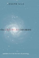 Infinite Cosmos